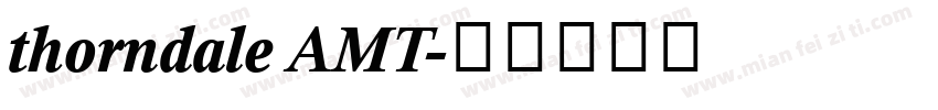thorndale AMT字体转换